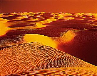 受《银翼杀手2049》启发 新FPS《ExeKiller》公布